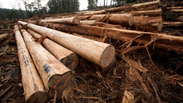 Operational planning