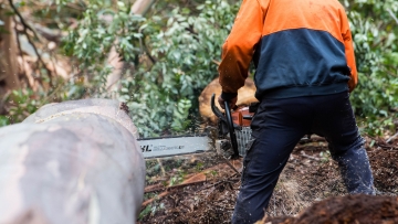 Permits and Licences