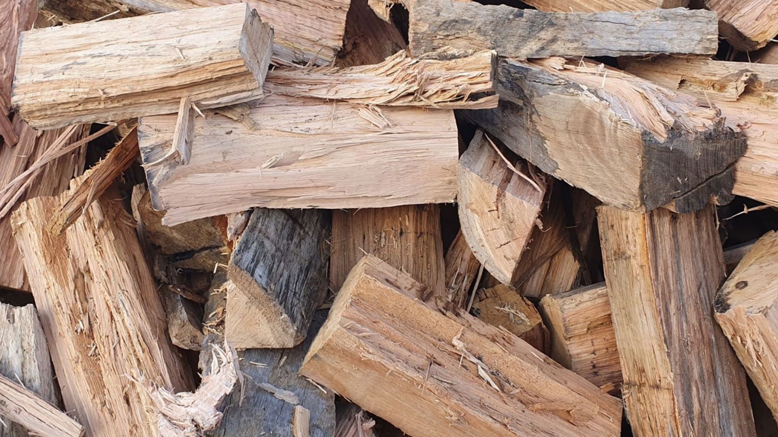 Firewood Permits Sustainable Timber Tasmania
